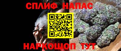 сатива Лесосибирск