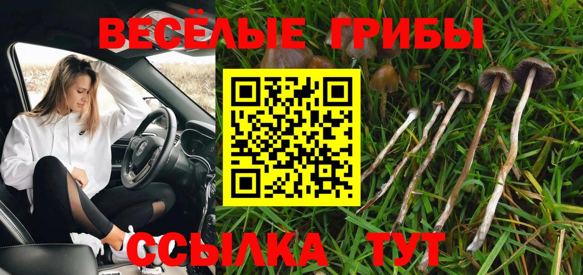Черногорск  Галлюциногенные грибы Psilocybine cubensis  Вход с VPN  Галлюциногенные грибы мухоморы 